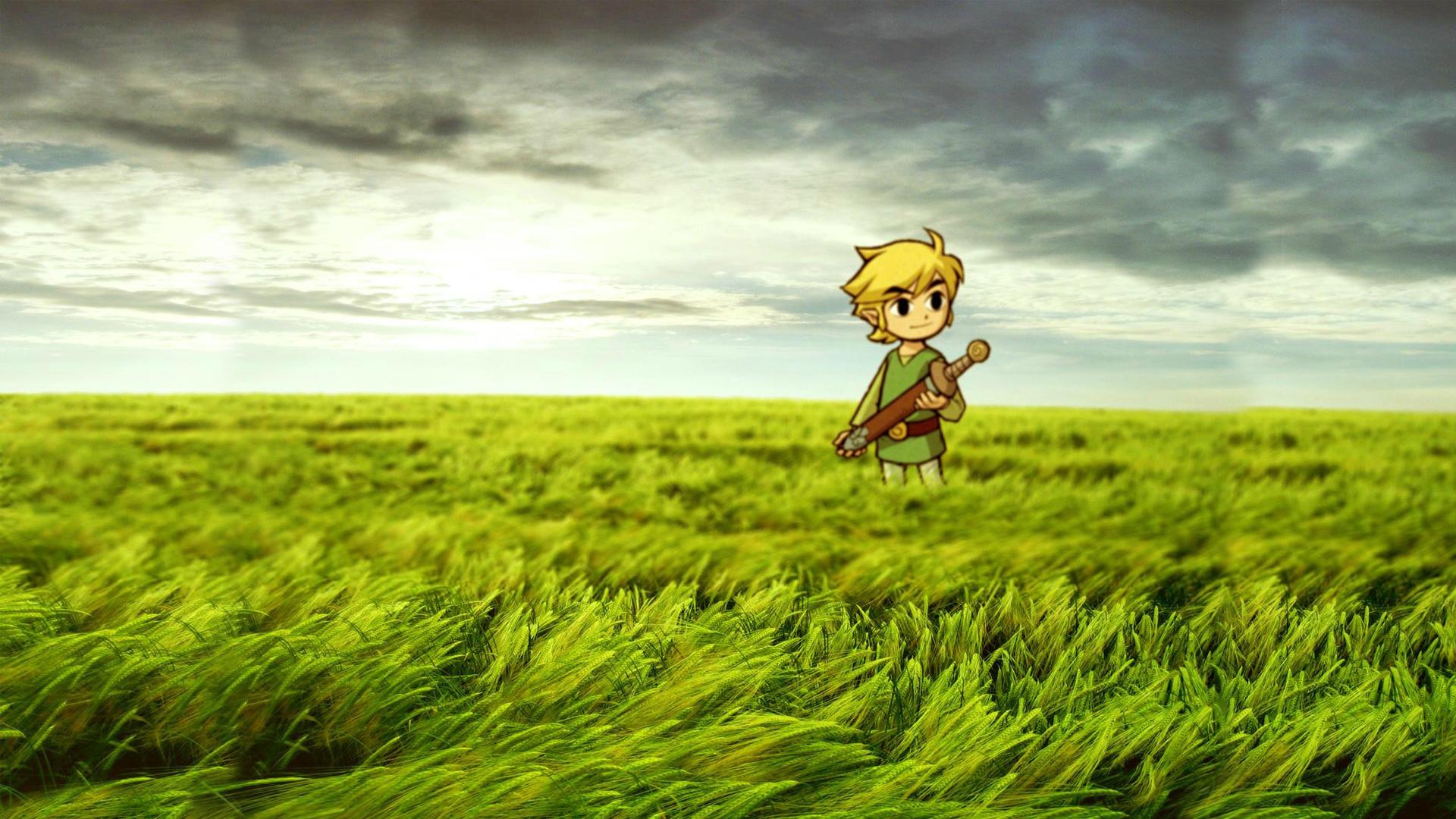 Link in a Field.jpg