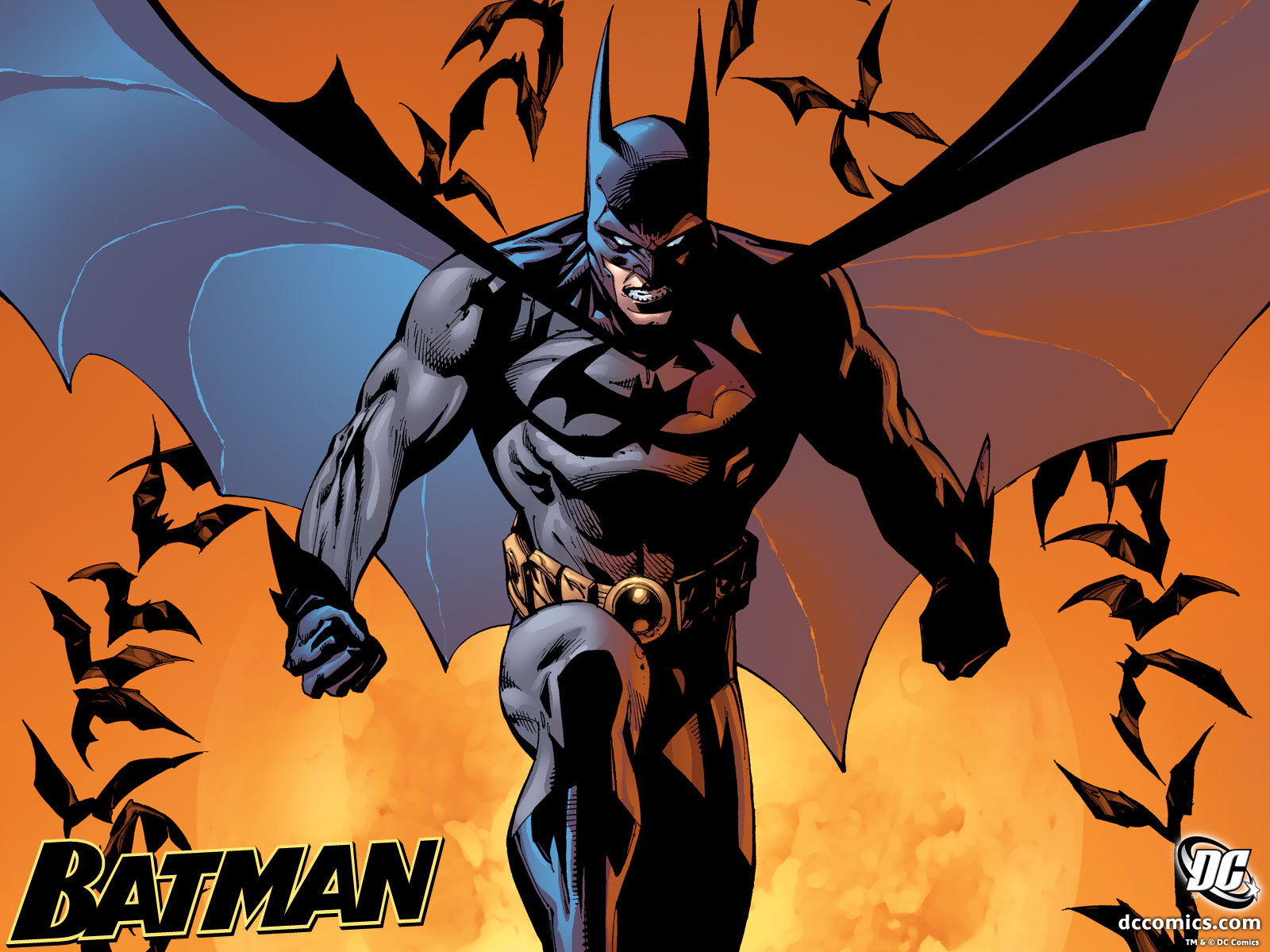 Comic-Imagesbatman with bats - Comic-Images