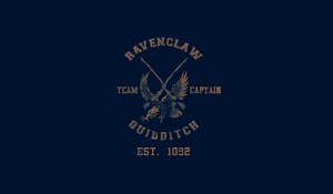 Ravenclaw Quidditch.jpg