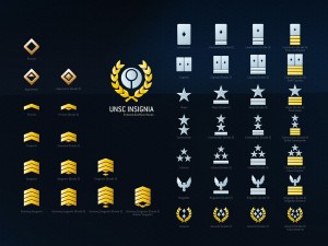 UNSC Insignia.jpg