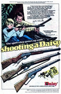 Shooting a daisy.jpg