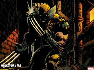 wolverin 900 claws.jpg