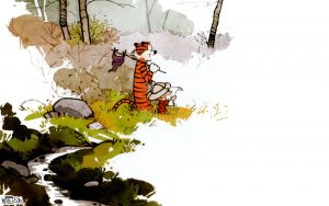 Calvin and Hobbes - Final Panel.jpg