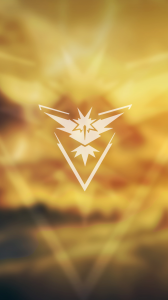 Yellow Team.png