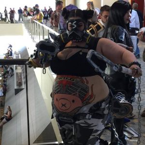 wild cosplay.jpg