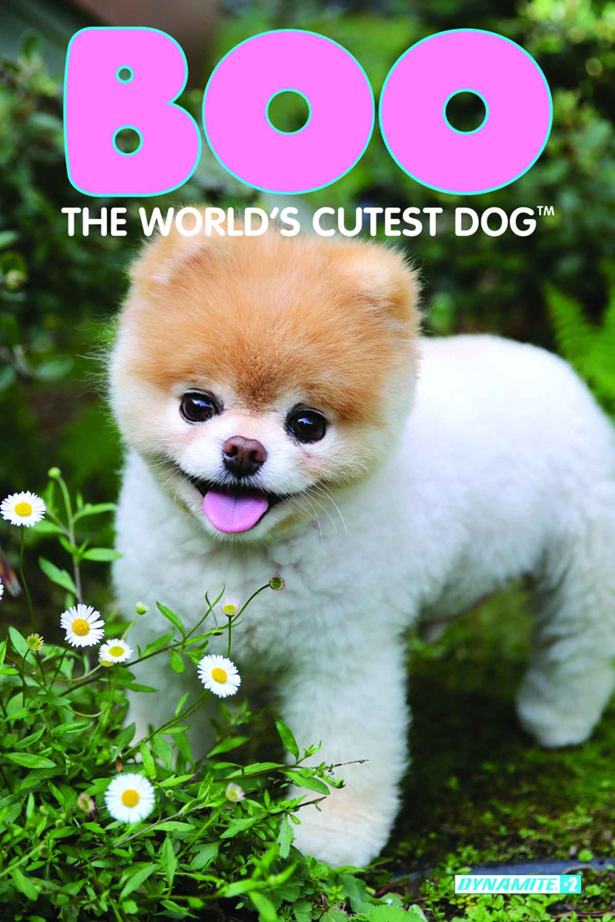BOO WORLDS CUTEST DOG #2_003.jpg BOO WORLDS CUTEST DOG #2_003.jpg