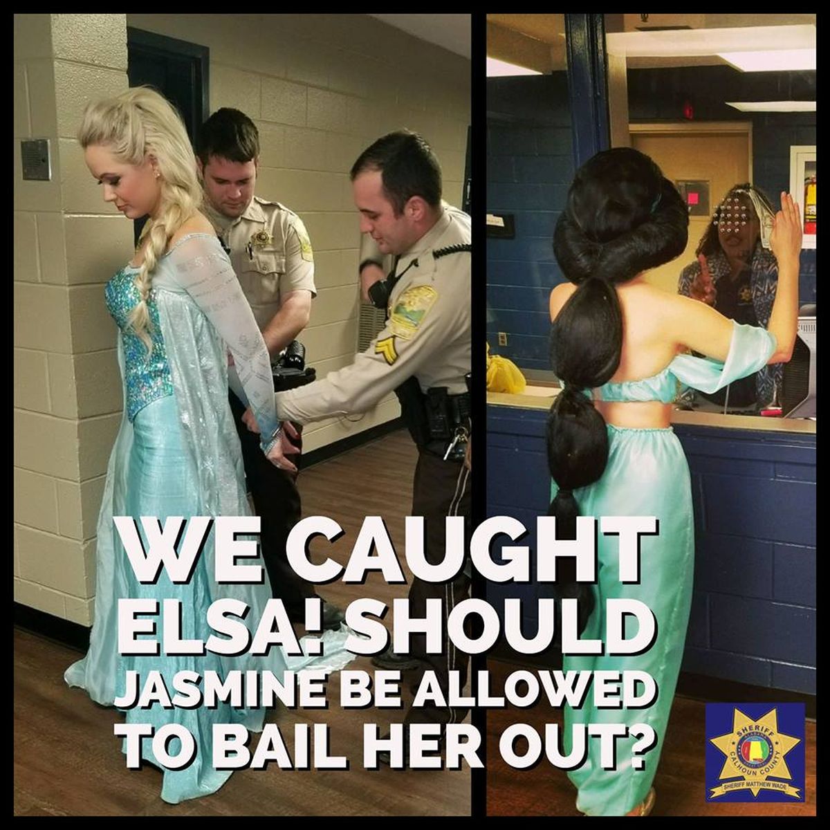 We caught elsa.jpg We caught elsa.jpg